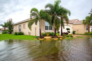 Hurricane Insurance